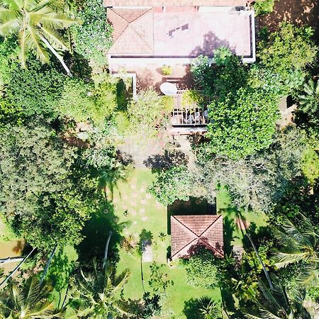 Swarnapaya résidence Bentota Bagian luar foto
