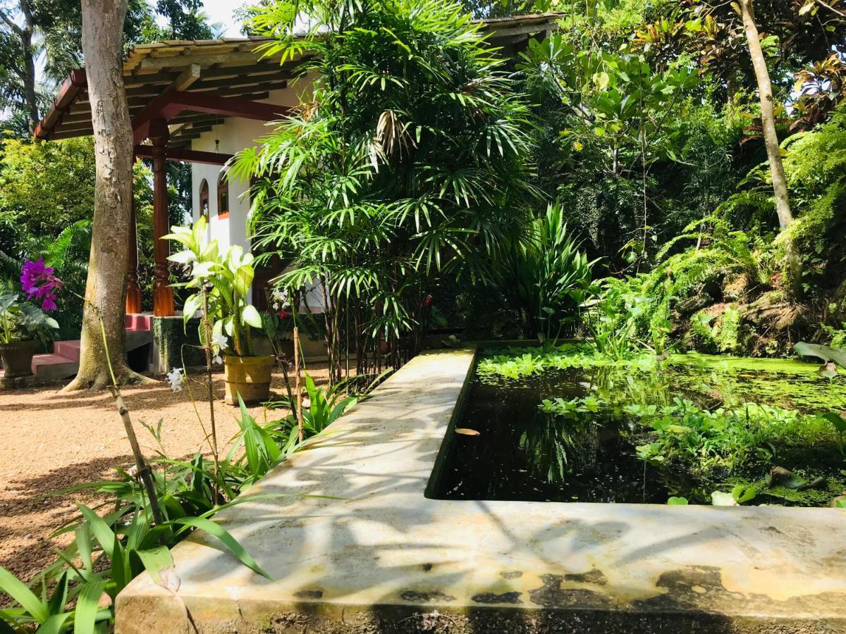 Swarnapaya résidence Bentota Bagian luar foto