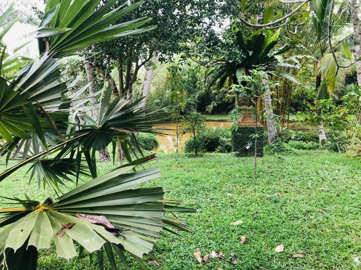 Swarnapaya résidence Bentota Bagian luar foto